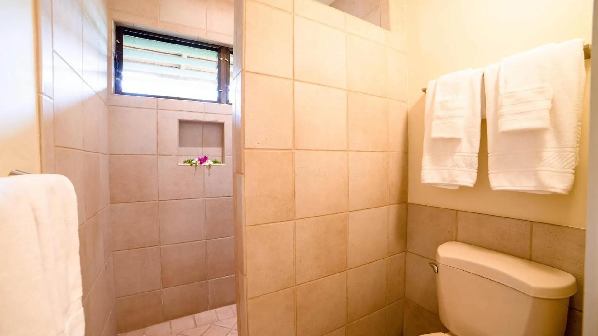 Wailea Ekahi 17D Villa Holiday home